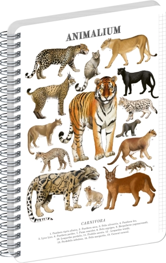 Σπειροειδές μπλοκ Notique Animalium – αιλουροειδή αρπακτικά, A5, καρέ