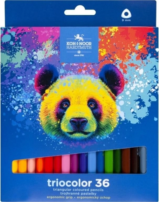 Τριγωνικές ξυλομπογιές Triocolor 36 τεμ. ΑΡΚΟΥΔΑ KOH‑I‑NOOR