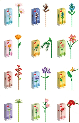 FLORIST πολύχρωμα καλοκαιρινά και αγριολούλουδα (12 είδη)