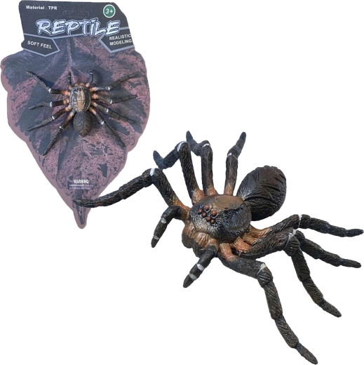 Ζωντανή φύση: Wolf Spider – ρεαλιστικό μοντέλο αράχνης (12 cm)