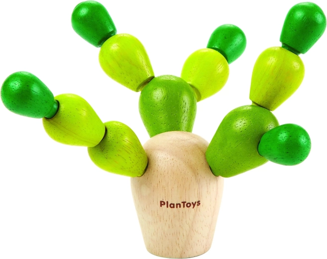 Μίνι ισορροπιστικός κάκτος PlanToys