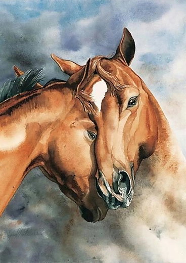 Norimpex ζωγραφική με αριθμούς Άλογα 40 × 50 cm