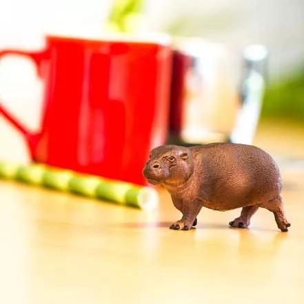 Ιδανική για παιχνίδι και για εκμάθηση «μαθαίνω παίζοντας»