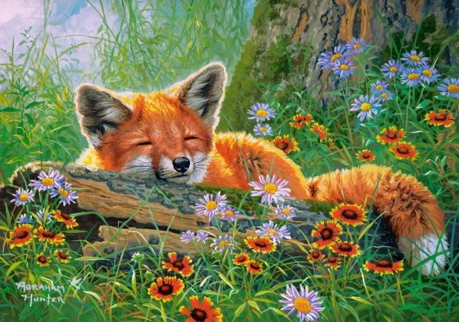 Παζλ 500 κομματιών Foxy Dreams