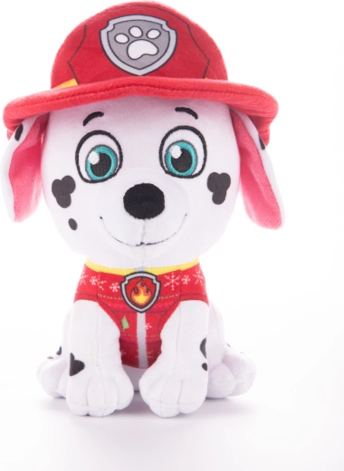 Αυθεντικές λεπτομέρειες πυροσβέστη