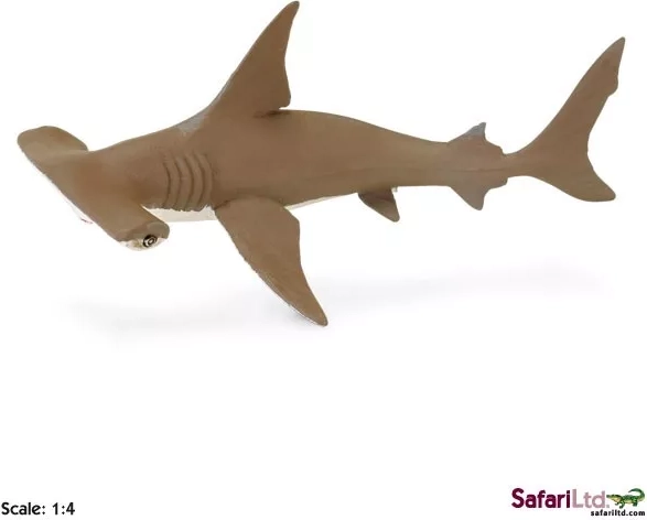 Safari Ltd. νεαρός σφυροκέφαλος καρχαρίας (μπρονζέ)