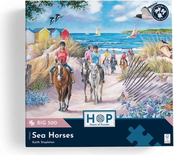 Ποιοτική κατασκευή House of Puzzles