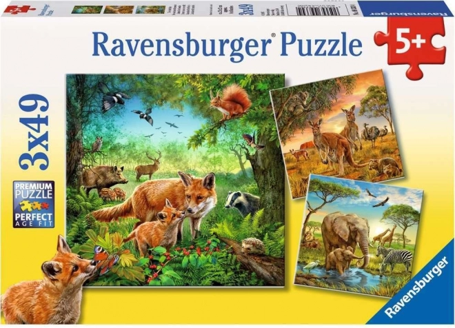 Παζλ Ravensburger Ζώα 3×49 κομμάτια