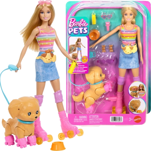 Mattel Barbie Pets σετ με σκυλάκι σε πατίνια και αξεσουάρ
