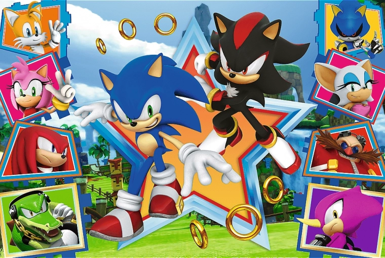 Παζλ 100 κομματιών - Γνωρίστε τον Sonic
