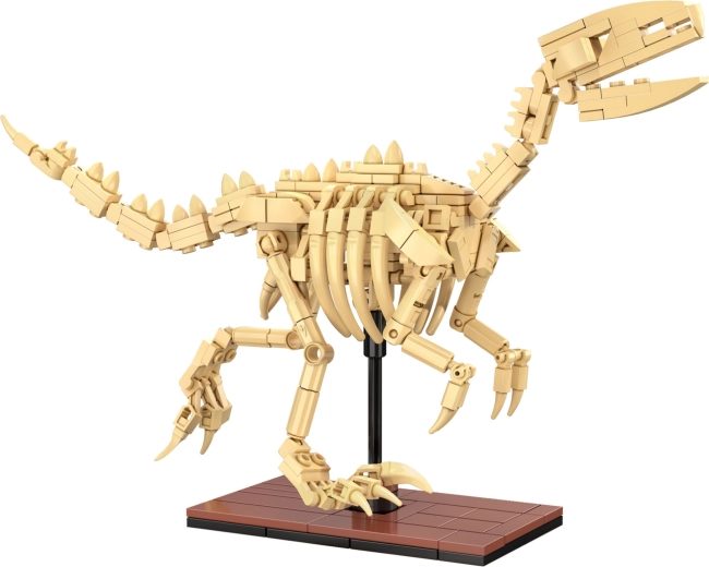 Φωσφορίζοντες σκελετοί και εκθετική παρουσίαση