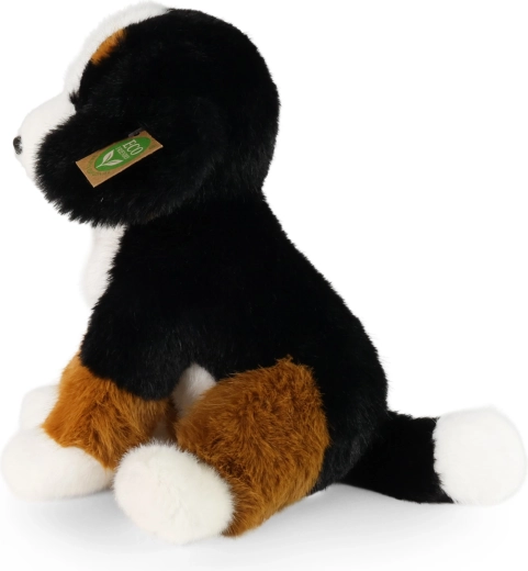 Πιστή εμφάνιση σκύλου ράτσας Bernese Mountain Dog