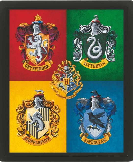 3D εικόνα Harry Potter έγχρωμη