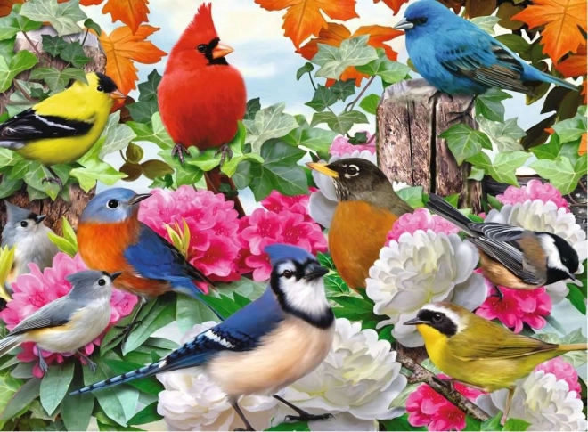 Ravensburger παζλ Zahradní ptáci 500 κομμάτια