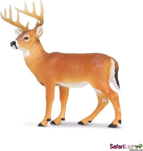 Ελάφι λευκής ουράς Safari Ltd.