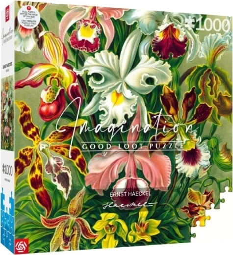 παζλ imagination: ernst haeckel – ορχιδέα 1000 κομμάτια