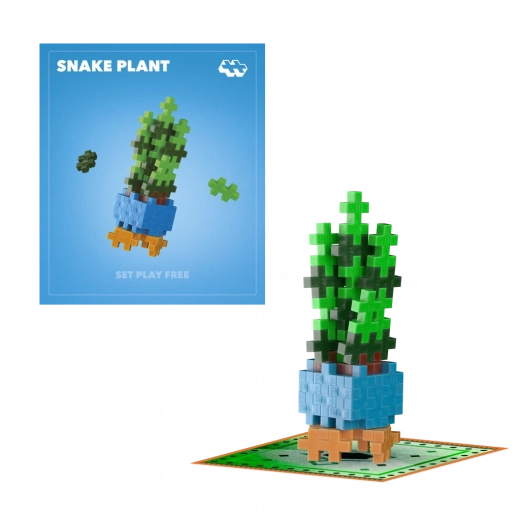 Plus-Plus λουλούδι Snake Plant