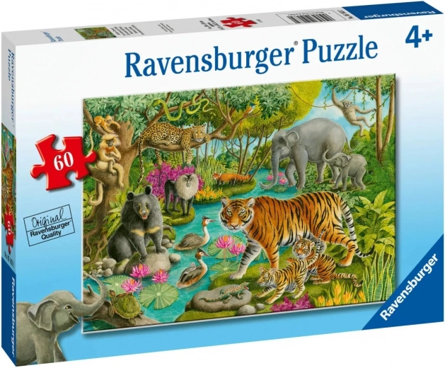 Παζλ Ravensburger Ζώα της Ινδίας 60 κομμάτια