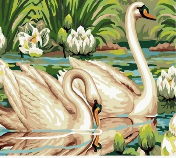 Norimpex ζωγραφική με αριθμούς Κύκνοι στη λίμνη 40 × 50 cm
