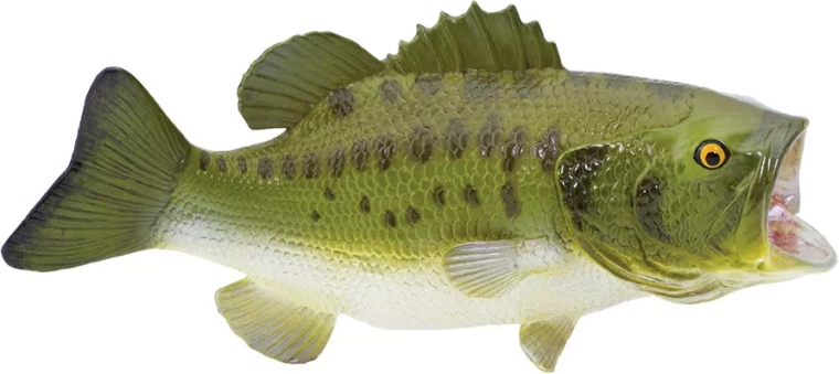 Ρεαλιστικό μοντέλο πέστροφας-λαβρακιού (largemouth bass) Safari Ltd.