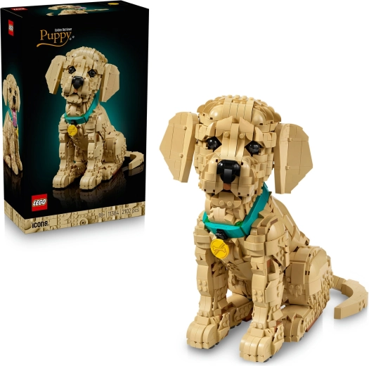LEGO Icons κουτάβι Χρυσού Ριτρίβερ