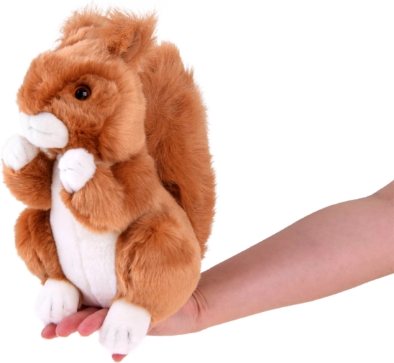 Ιδανικό μέγεθος στο χέρι: 22 εκ.