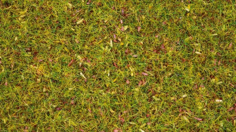 Noch στατικό γρασίδι ανθισμένο λιβάδι 2,5 mm