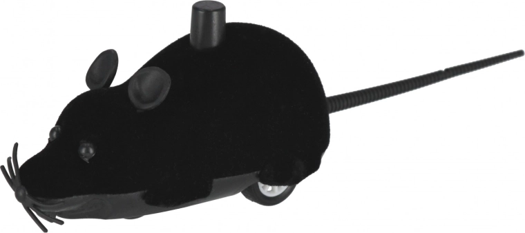 Διασκέδαση σε διάφορα χρώματα