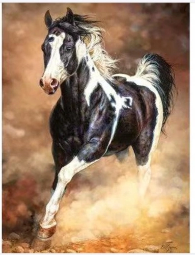 Norimpex Ζωγραφική με αριθμούς: άλογο που καλπάζει στην άμμο 40 × 50 cm