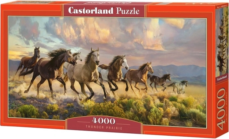 Παζλ Castorland «Βομβώδης Πράιρι» 4000 κομμάτια