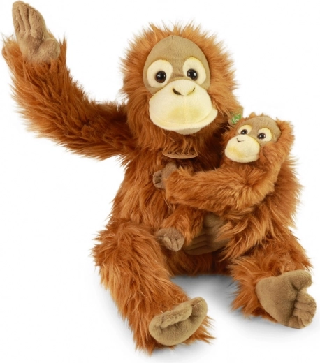 Δύο παιχνίδια σε ένα