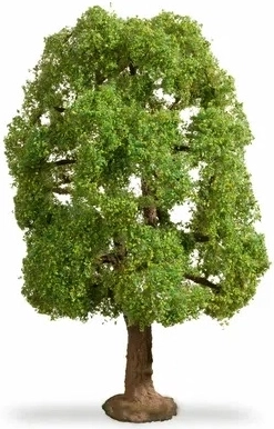 Noch Master Tree φράξος 20 cm