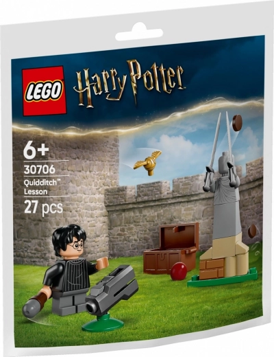 Τουβλάκια LEGO Harry Potter Μάθημα Κουίντιτς