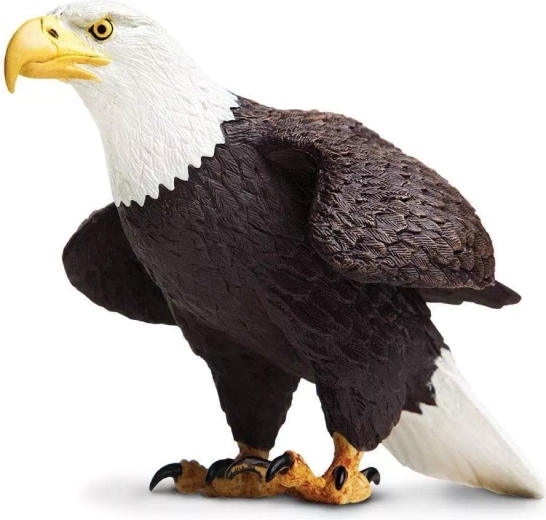 Safari Ltd. φιγούρα φαλακρού αετού (bald eagle) - 1 τεμάχιο