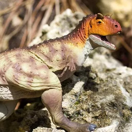 Ιδανική για παιχνίδι και μάθηση
