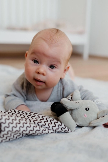 Κουδουνίστρα για ανάπτυξη των αισθήσεων