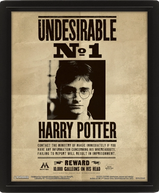 3D εικόνα Harry Potter - Sirius