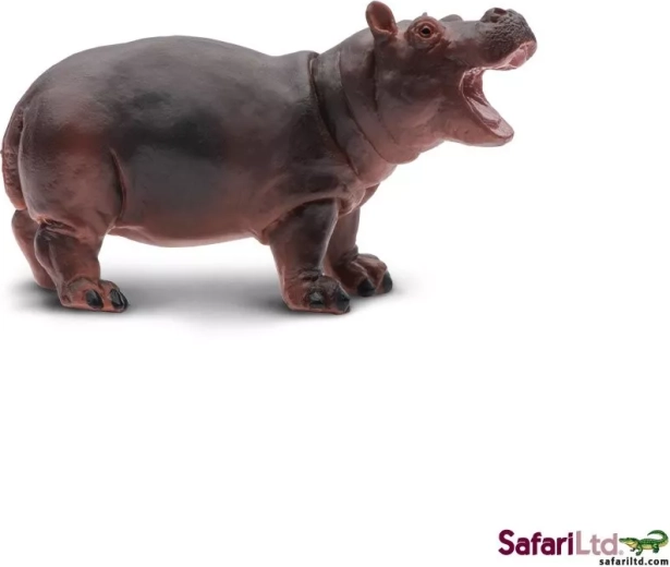 Μικρό ιπποπόταμου Safari Ltd. - 1 τεμάχιο