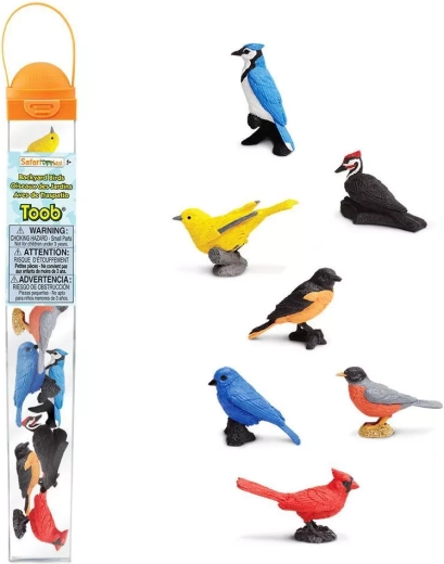 Safari Ltd. TOOBS σωλήνας Πουλιά