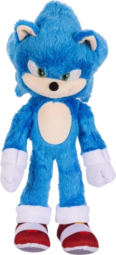 Πιστές λεπτομέρειες SONIC