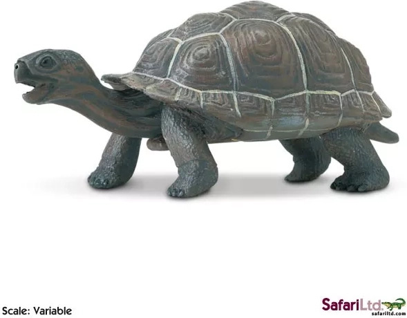 Safari Ltd. φιγούρα νεαρού γκαλαπαγκόζικου χελωνιού - 1 τεμάχιο