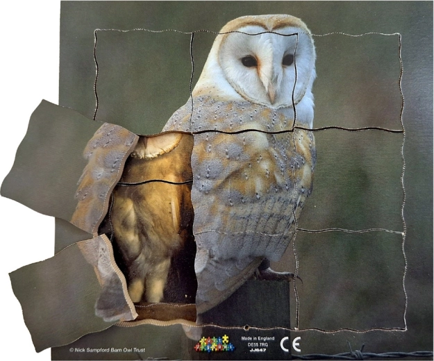 Just Jigsaws Κουκουβάγια και ο κύκλος ζωής της - ξύλινο πολυεπίπεδο παζλ