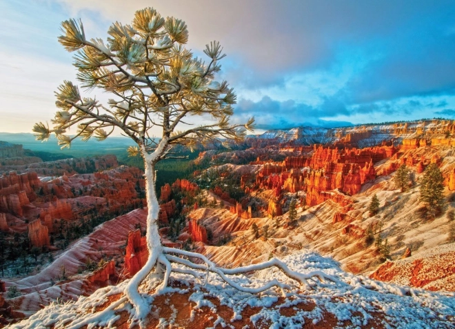 Παζλ EUROGRAPHICS χειμερινή αυγή, Bryce Canyon (1000 κομμάτια)