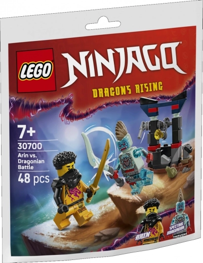 Τουβλάκια NINJAGO: Μάχη του Άριν με τον δράκο