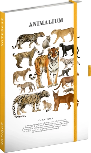 Notique Notes Animalium – αιλουροειδή αρπακτικά (ριγέ σημειωματάριο) 13 × 21 cm