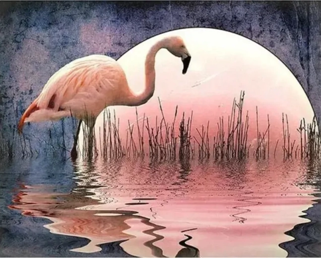 Norimpex Ζωγραφική με αριθμούς Φλαμίνγκο 40 × 50 cm