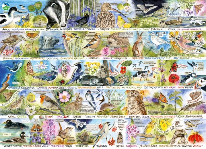 Παζλ GIBSONS RSPB Μαγεία της ανοιξιάτικης φύσης 1000 κομμάτια