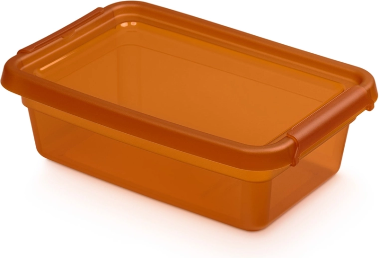 Basestore κουτί αποθήκευσης με καπάκι και κλιπς amber 3 l (19 × 28 × 9 cm)