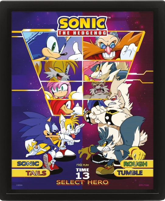 3D εικόνα Sonic: Διάλεξε τον μαχητή