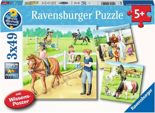 Παζλ Ravensburger Μια μέρα με τα άλογα 3×49 κομμάτια